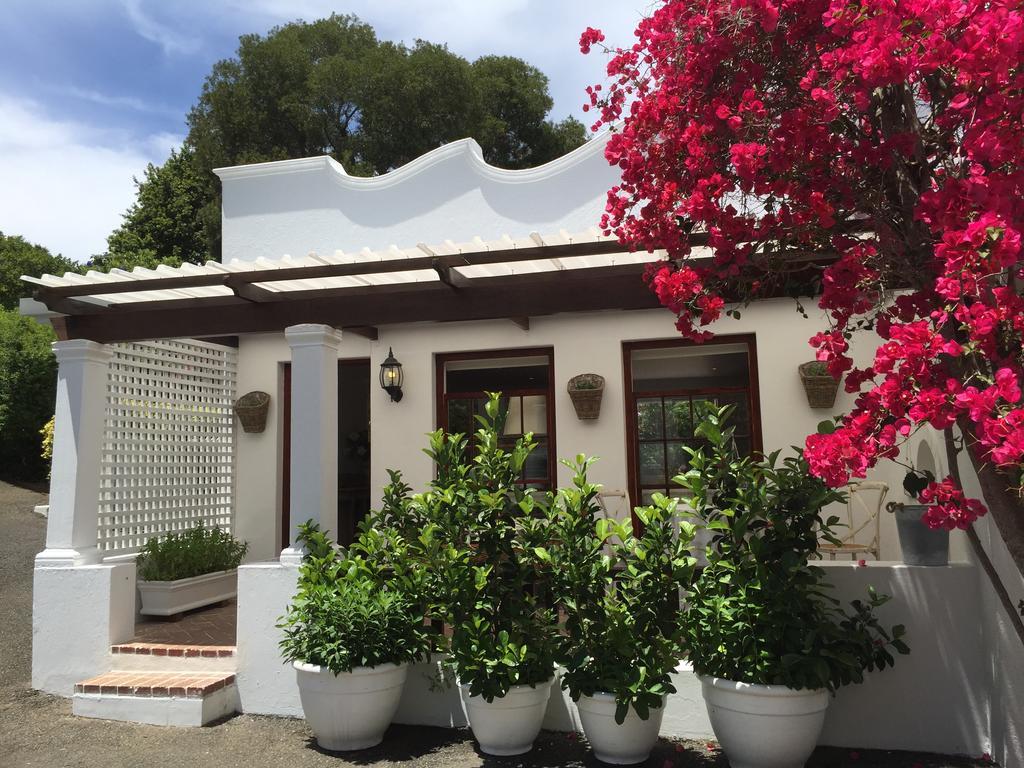 The White Manor Bed and Breakfast Κέιπ Τάουν Δωμάτιο φωτογραφία