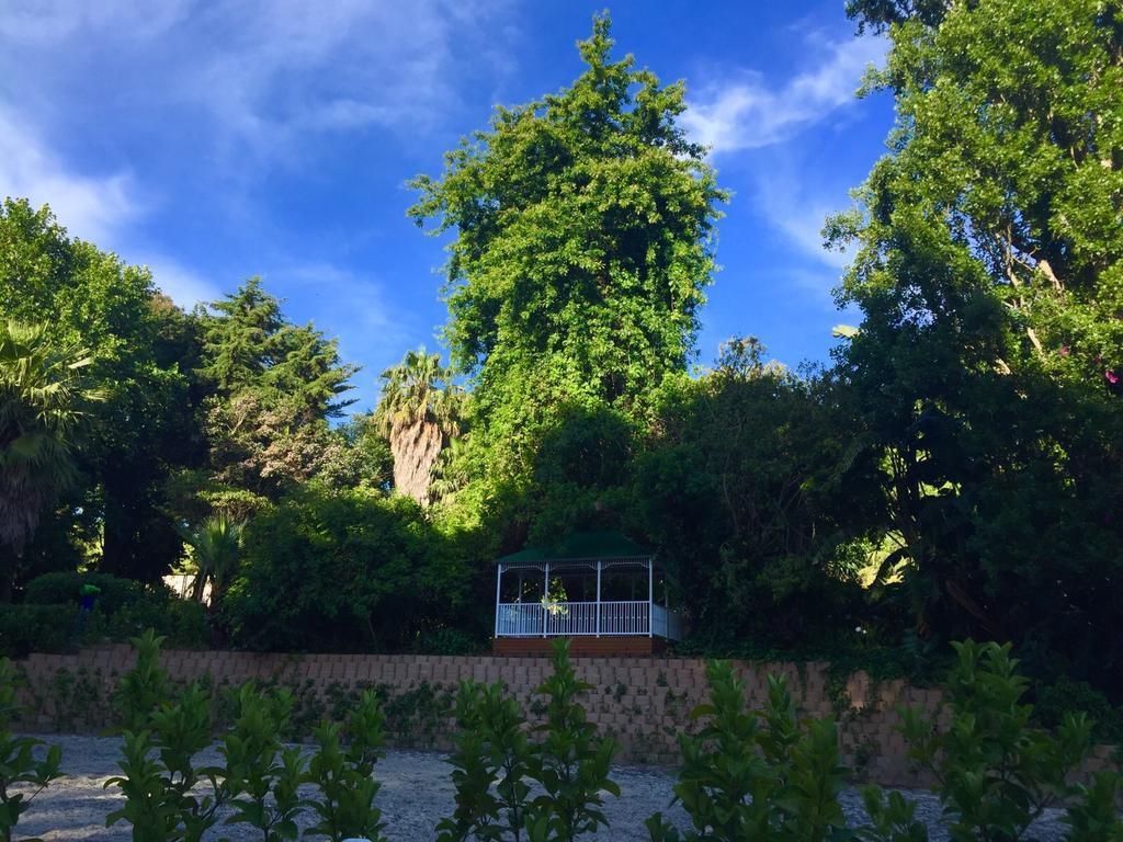 The White Manor Bed and Breakfast Κέιπ Τάουν Εξωτερικό φωτογραφία