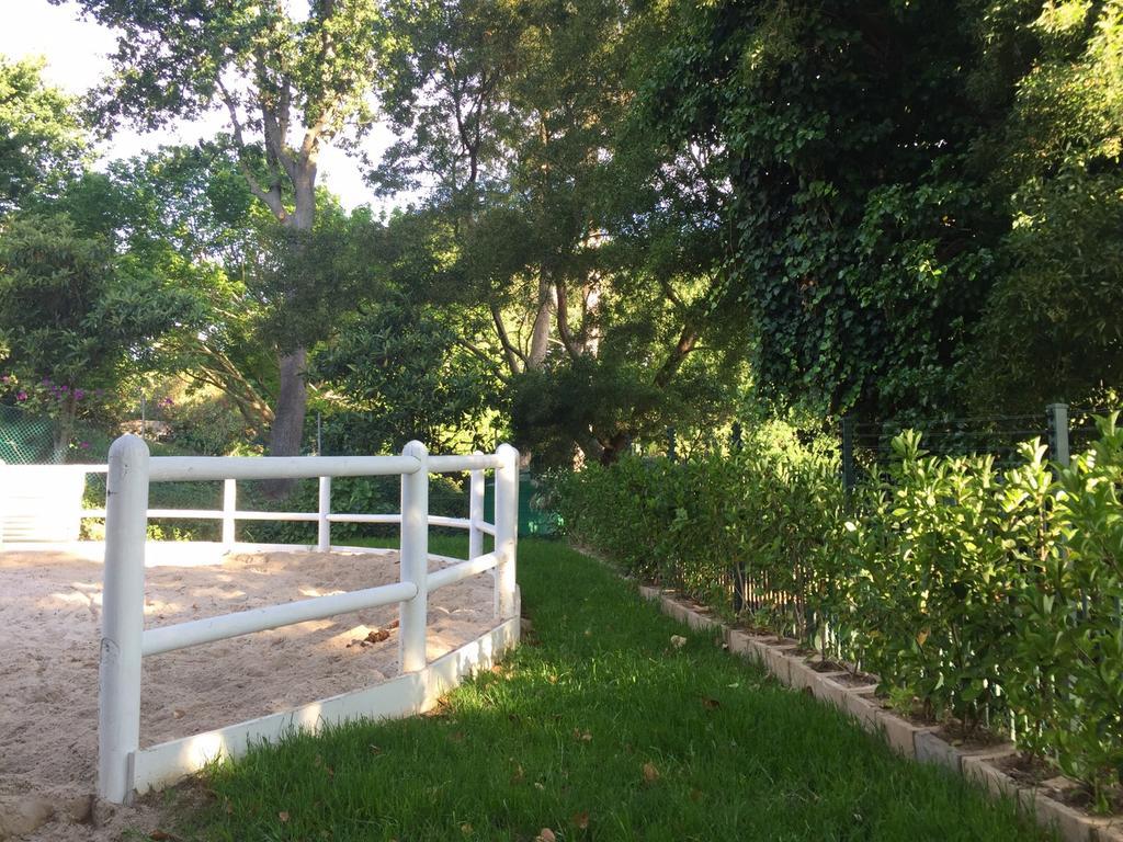 The White Manor Bed and Breakfast Κέιπ Τάουν Εξωτερικό φωτογραφία